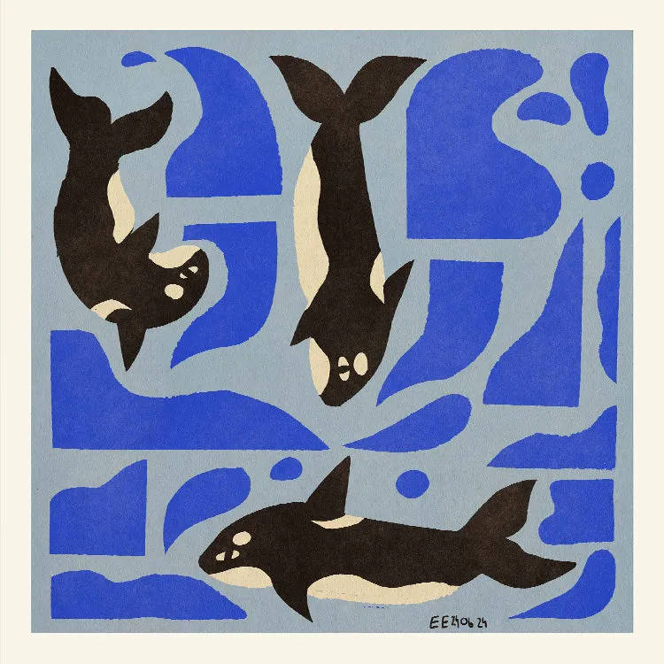 Enikő Eged - Orca