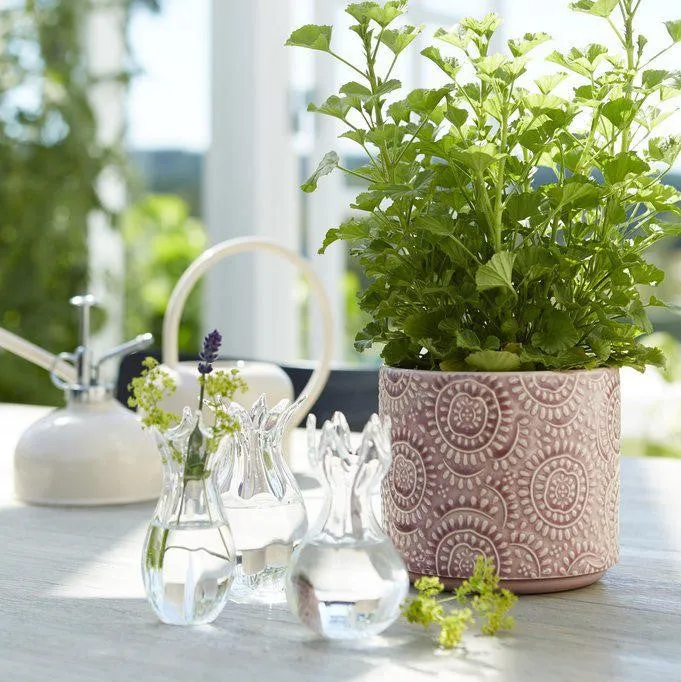 Mini Clear Glass Bud Vase Selection